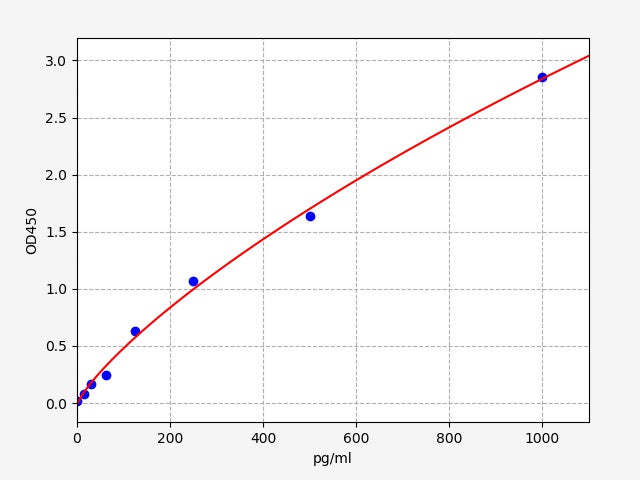 Standard Curve