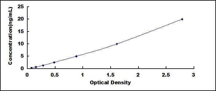 Typical Standard Curve for ADAMTS5 ELISA (Sandwich)
