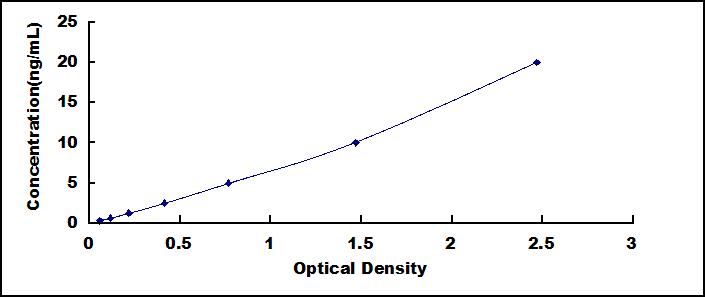 Typical Standard Curve for ADAMTS5 ELISA (Sandwich)