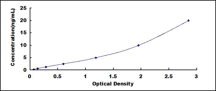 Typical Standard Curve for ADAMTS9 ELISA (Sandwich)