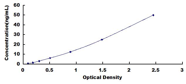 Typical Standard Curve for ACTN4 ELISA (Sandwich)