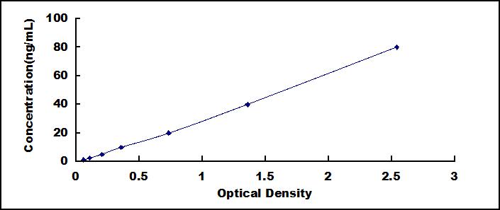 Typical Standard Curve for ALP ELISA (Sandwich)