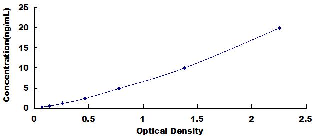 Typical Standard Curve for ATG7 ELISA (Sandwich)
