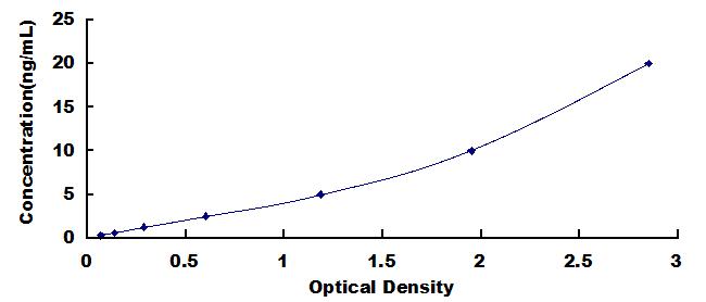 Typical Standard Curve for SLC25A20 ELISA (Sandwich)