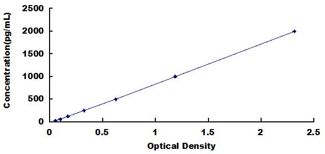 Typical Standard Curve for CLDN5 ELISA (Sandwich)