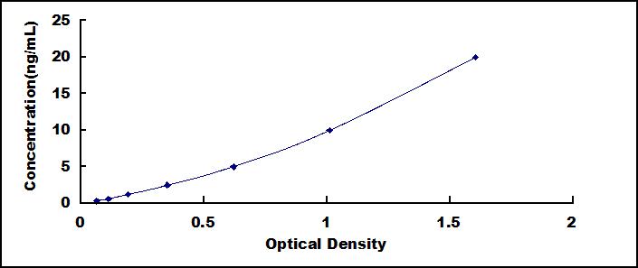 Typical Standard Curve for CYP3A4 ELISA (Sandwich)
