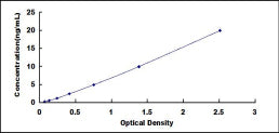 Typical Standard Curve for ENO1 ELISA (Sandwich)