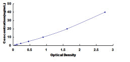 Typical Standard Curve for ErbB2 ELISA (Sandwich)