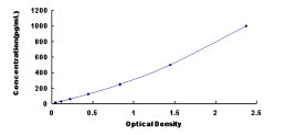 Typical Standard Curve for FGF12 ELISA (Sandwich)
