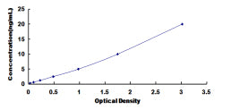 Typical Standard Curve for KLC1 ELISA (Sandwich)