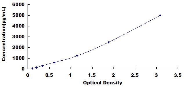 Typical Standard Curve for Rac1 ELISA (Sandwich)