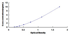 Typical Standard Curve for STK11 ELISA (Sandwich)