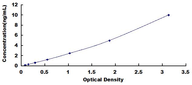 Typical Standard Curve for SF3B3 ELISA (Sandwich)