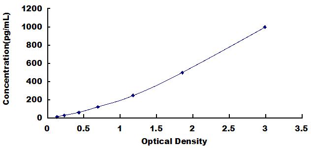 Typical Standard Curve for SCF ELISA (Sandwich)