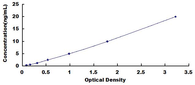 Typical Standard Curve for KRAS ELISA (Sandwich)