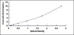 Typical Standard Curve for WNT10B ELISA (Sandwich)