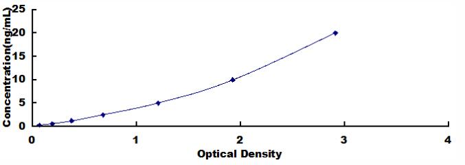 Typical Standard Curve for STAT4 ELISA (Sandwich)