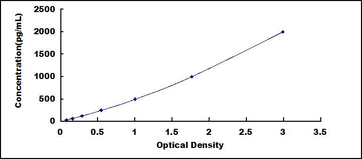 Typical Standard Curve for ATG12 ELISA (Sandwich)