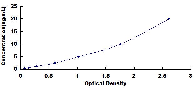 Typical Standard Curve for ACTN1 ELISA (Sandwich)