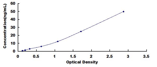 Typical Standard Curve for LDH ELISA (Sandwich)