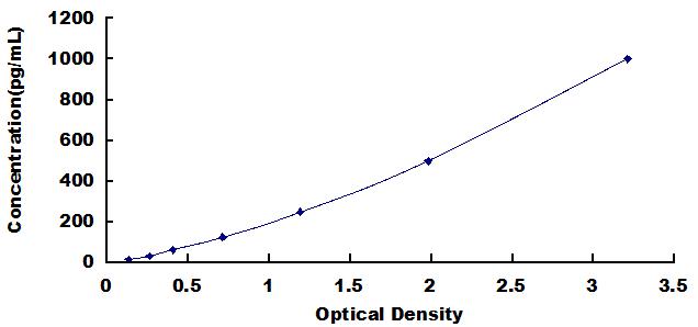 Typical Standard Curve for DBN1 ELISA (Sandwich)
