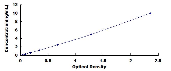 Typical Standard Curve for NCDN ELISA (Sandwich)