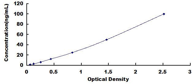 Typical Standard Curve for ASS1 ELISA (Sandwich)