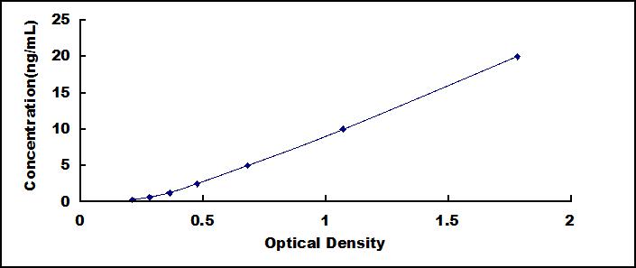 Typical Standard Curve for BHMT ELISA (Sandwich)