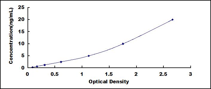 Typical Standard Curve for BRAF ELISA (Sandwich)