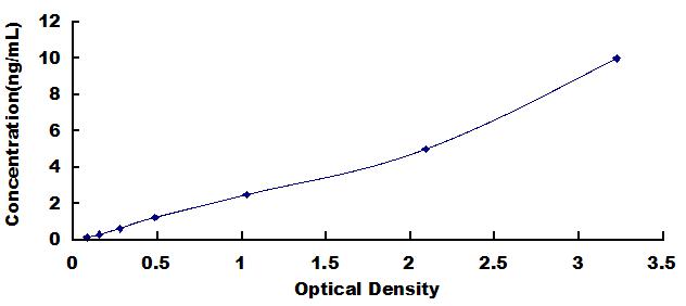 Typical Standard Curve for BDNF ELISA (Sandwich)