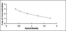 Typical Standard Curve for CFH ELISA (Competitive)