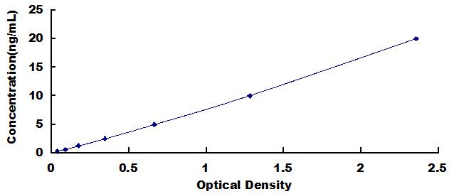 Typical Standard Curve for CCNB ELISA (Sandwich)
