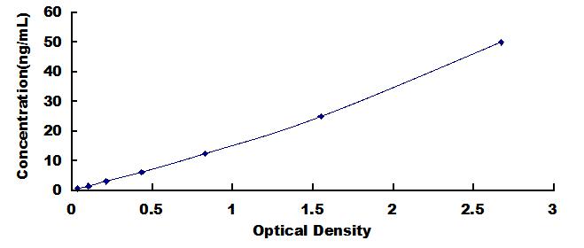 Typical Standard Curve for CYP2E1 ELISA (Sandwich)