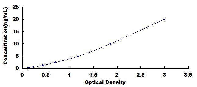 Typical Standard Curve for DUSP6 ELISA (Sandwich)