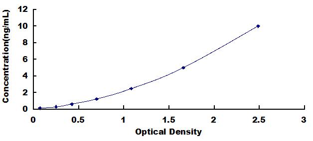 Typical Standard Curve for LOXL4 ELISA (Sandwich)