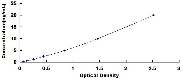 Typical Standard Curve for MMP19 ELISA (Sandwich)