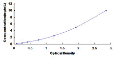 Typical Standard Curve for MAPK12 ELISA (Sandwich)