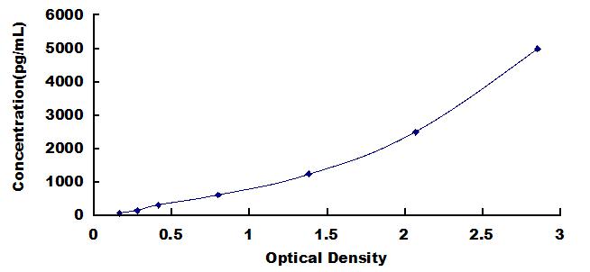 Typical Standard Curve for iPLA2 ELISA (Sandwich)
