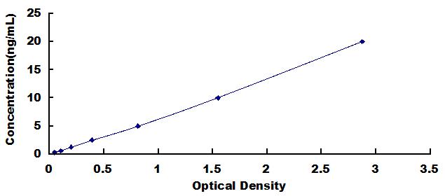 Typical Standard Curve for SIRT6 ELISA (Sandwich)
