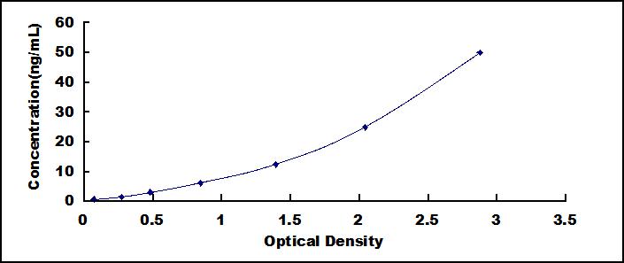 Typical Standard Curve for SIRT7 ELISA (Sandwich)
