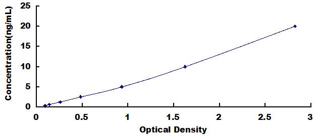 Typical Standard Curve for SMOX ELISA (Sandwich)
