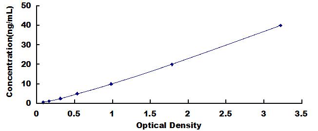 Typical Standard Curve for TOP2 ELISA (Sandwich)