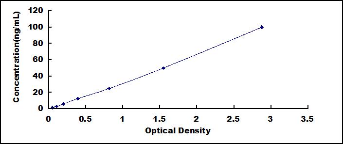 Typical Standard Curve for TKT ELISA (Sandwich)