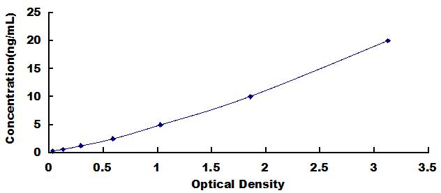 Typical Standard Curve for VGLUT1 ELISA (Sandwich)