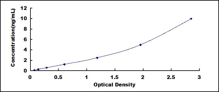 Typical Standard Curve for WNT11 ELISA (Sandwich)