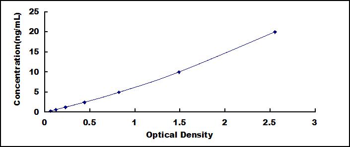 Typical Standard Curve for CAMK2a ELISA (Sandwich)