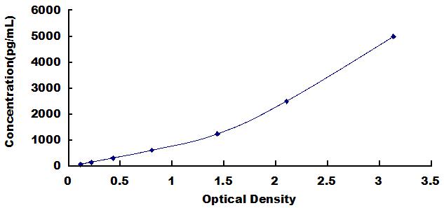 Typical Standard Curve for IFI35 ELISA (Sandwich)