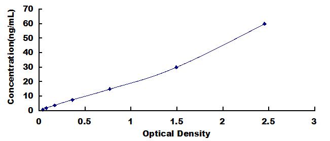 Typical Standard Curve for ADCY1 ELISA (Sandwich)