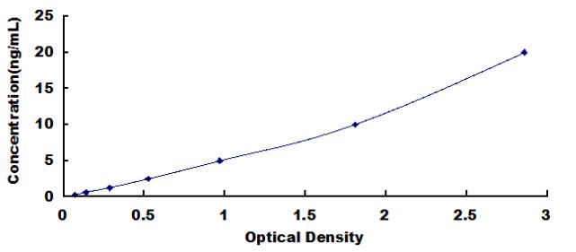 Typical Standard Curve for HSD11b1 ELISA (Sandwich)