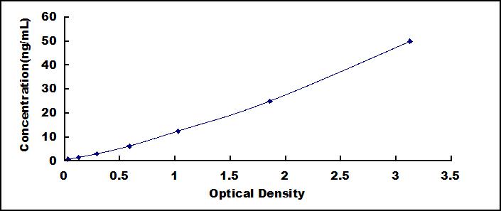 Typical Standard Curve for CYP46A1 ELISA (Sandwich)
